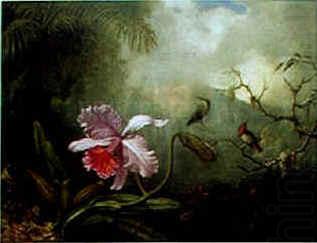 Martin Johnson Heade Cattleya Orchid Three Brazilian Hummingbirds china oil painting image